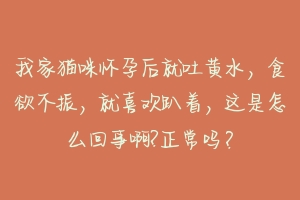 我家猫咪怀孕后就吐黄水，食欲不振，就喜欢趴着，这是怎么回事啊?正常吗？-动物百科