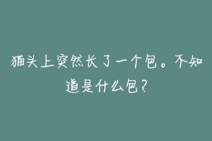 猫头上突然长了一个包。不知道是什么包?-动物百科