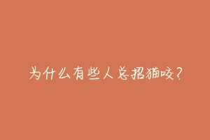 为什么有些人总招猫咬?-动物百科