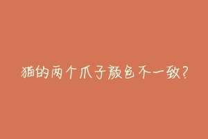 猫的两个爪子颜色不一致?-动物百科