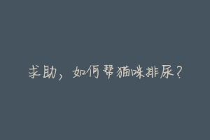 求助,如何帮猫咪排尿?-动物百科