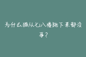 为什么猫从七八楼跳下来都没事?-动物百科