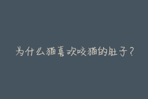 为什么猫喜欢咬猫的肚子?-动物百科