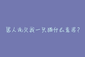 男人说欠我一只猫什么意思？-动物百科