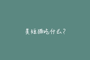 美短猫吃什么?-动物百科