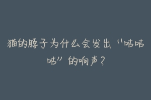 猫的脖子为什么会发出“咕咕咕”的响声?-动物百科