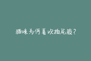 猫咪为何喜欢拍屁股?-动物百科