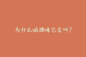 为什么喊猫咪它会叫?-动物百科
