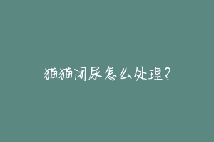 猫猫闭尿怎么处理?-动物百科