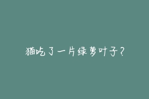 猫吃了一片绿萝叶子?-动物百科