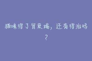 猫咪得了肾衰竭,还有得治吗?-动物百科