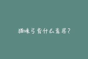 猫咪弓背什么意思?-动物百科