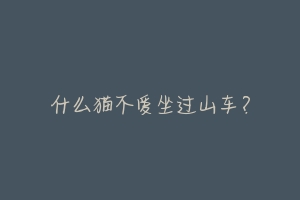什么猫不爱坐过山车？-动物百科