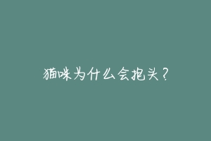 猫咪为什么会抱头?-动物百科