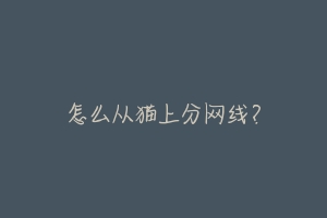 怎么从猫上分网线?-动物百科