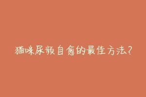 猫咪尿频自愈的最佳方法?-动物百科