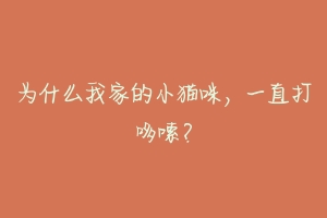 为什么我家的小猫咪,一直打哆嗦?-动物百科