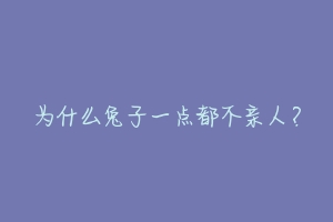 为什么兔子一点都不亲人?-动物百科