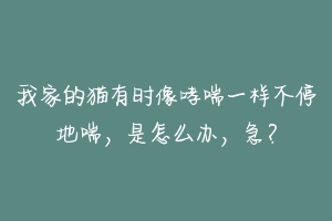 我家的猫有时像哮喘一样不停地喘,是怎么办,急?-动物百科