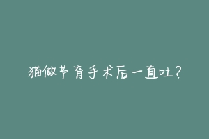 猫做节育手术后一直吐?-动物百科