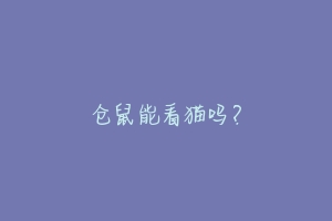 仓鼠能看猫吗?-动物百科
