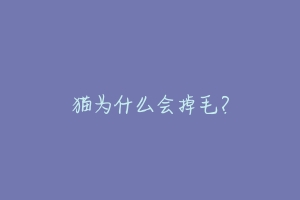 猫为什么会掉毛?-动物百科