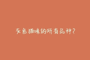 灰色猫咪的所有品种?-动物百科