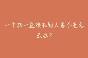 一个猫一直赖在别人家不走怎么办?-动物百科