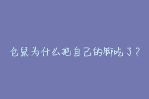 仓鼠为什么把自己的脚吃了？-动物百科