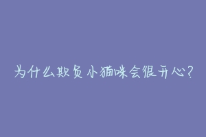 为什么欺负小猫咪会很开心？-动物百科