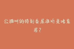 公猫叫的特别委屈难听是啥意思?-动物百科