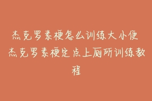 杰克罗素梗怎么训练大小便 杰克罗素梗定点上厕所训练教程-动物百科