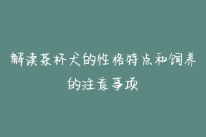 解读茶杯犬的性格特点和饲养的注意事项-动物百科