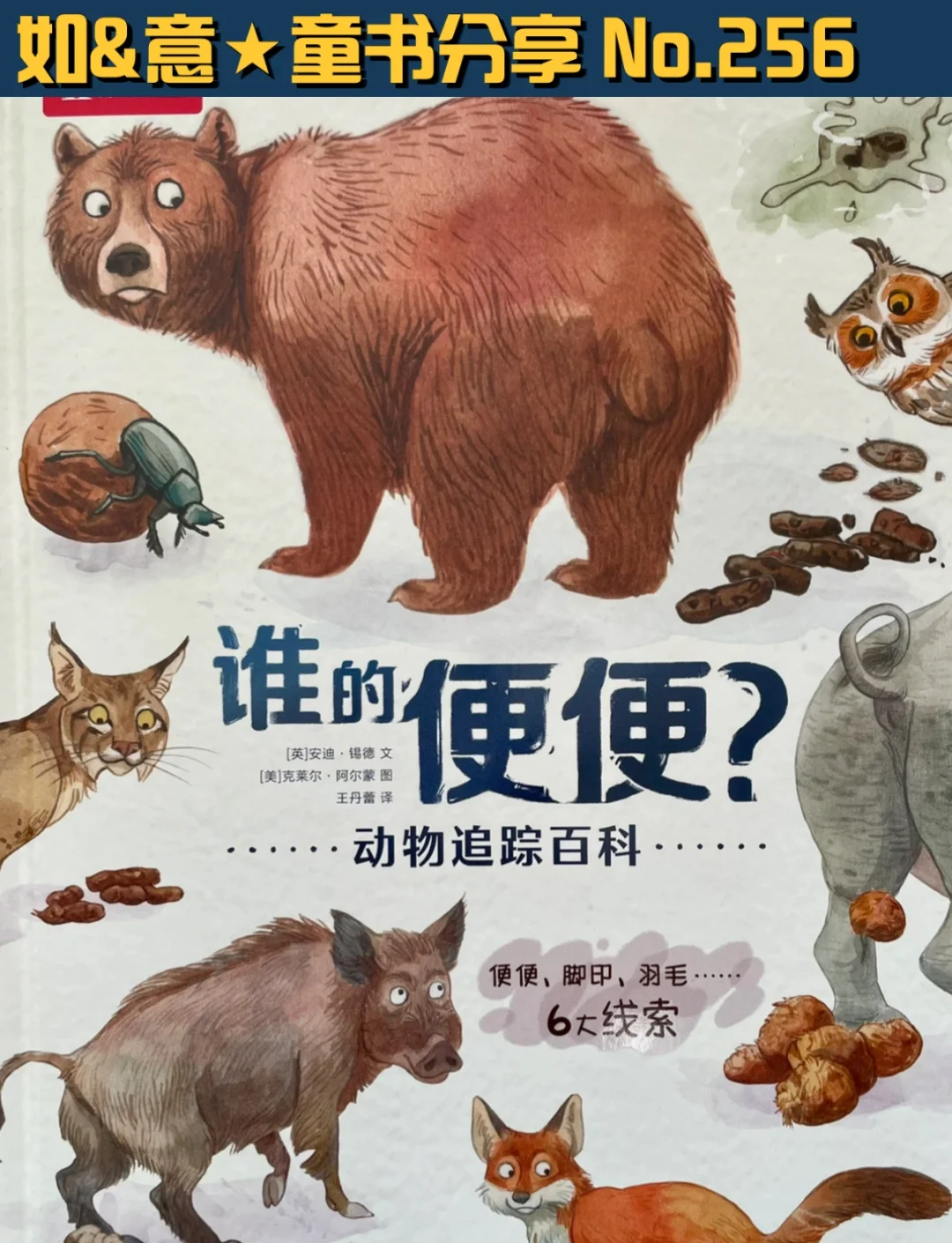 自然的奇观:动物王国中令人惊叹的“排便智慧”-动物百科